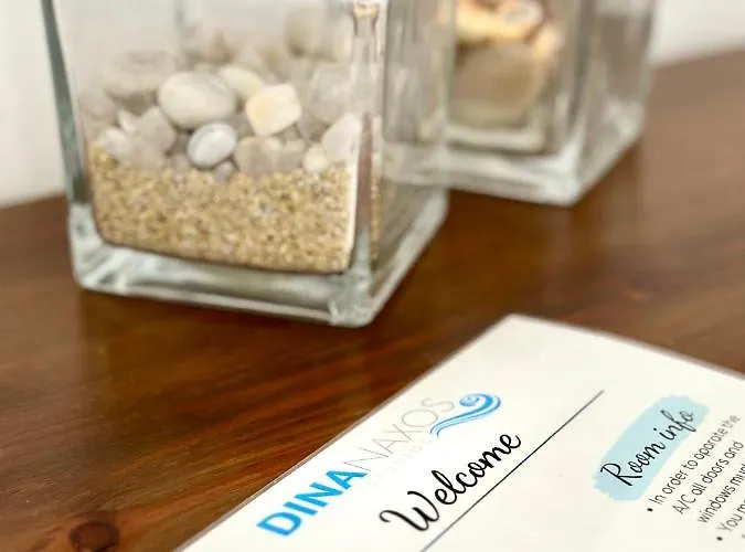 公寓 迪娜纳克索斯公寓