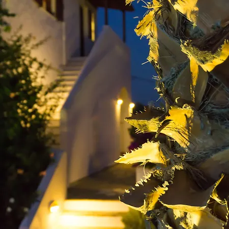 Dina Naxos Appartamento *