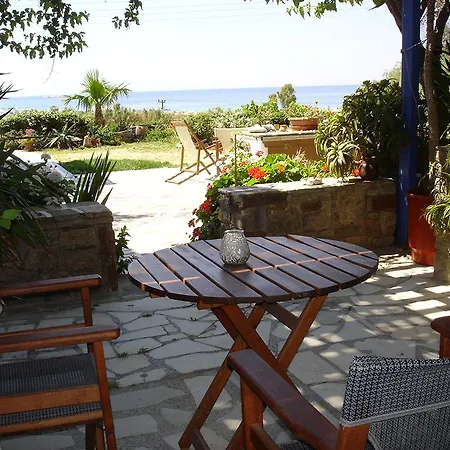 Dina Naxos